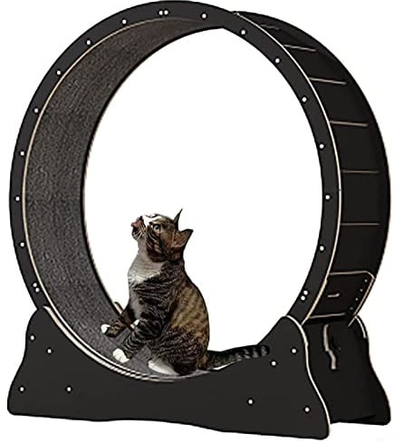 Katzenlaufrad - Indoor Laufband für kleine Haustiere, Fitness & Gewichtsverlust Gerät, Katzenlaufrad, Interaktives Haustierspielzeug, Perfekt für Indoor-Spielen und Aktivität