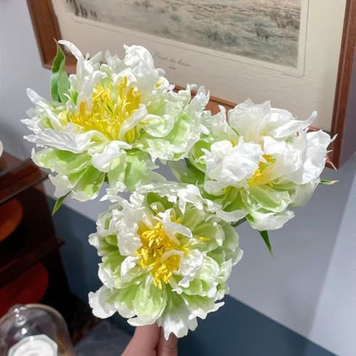 5 pcs pfingstrosen zwiebeln winterhart, pfingstrosen knollen blumen für balkon, pflanzen winterhart draußen pfingstrose (Paeonia suffruticosa) garten geschenke für frauen, pflanzen