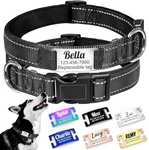 Collar Personalizado silencioso para Perro con Placa identificativa reemplazable