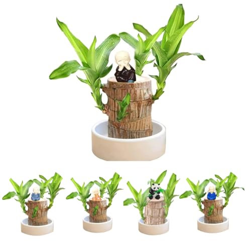 Dasongff Bois Brésilien à Germination Magique, Plantes de Bambou Porte-Bonheur d'intérieur - Souche d'arbre Artificielle - Mini Bois Porte-Bonheur du Brésil - Bois de Bambou Porte-Bonheur