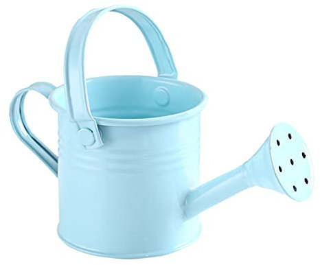 NZXVSE Arrosoir en métal vintage, mini pot d'eau de jardinage pour enfants, seau d'arrosage en fer pour plantes d'intérieur et d'extérieur, bleu