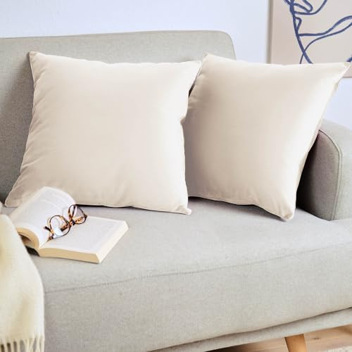 Blumtal 2er Set Kissenbezug 40x40 cm Creme - dekorativer Samt Kissenbezug mit verstecktem Reißverschluss, Kissenhülle für Zierkissen Deko-Kissen Polster Sofakissen & Couchkissen, waschbar