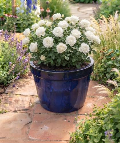 Generisch B-Ware !! Winterfester Blumentopf Durchmesser ca. 28 cm aus Steinzeug-blau glasiert ! Pflanzgefäß Blumenkübel Garten Balkon Terrasse