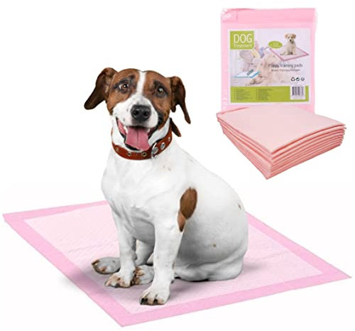 KUVIAS Puppy Training Pads - 10pcs. Leak-Proof Fast Absorbent Disposable Dog Puppy Kitten Cat Incontinence Pee Pads Training Toilet Mat - Wee Wee Pads Litter & Housetraining for Dogs (43 x 32cm, Pink)
