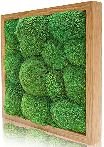 naturewalls Parent- Moosbild KM (Eiche, 35 x 35)