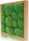 naturewalls Parent- Moosbild KM (Eiche, 35 x 35)