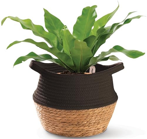 Praknu Deko Blumentopf Übertopf - Seegras Geflochten mit Baumwolle Ø 20cm - Pflanzkorb Boho Schwarz