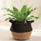 Praknu Panier à Plantes Osier en Jonc de Mer et Coton - Cache Pot Décoratif Tressé - 25 cm - Pot à Fleurs, à Plantes et Panier Rangement (Noir)