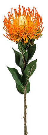 artplants.de Protea künstlich HERVAS, orange, 70cm - Künstliche Protea Blume/Textilpflanze/Protea Deko