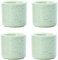 Dicmracy Tasses à expresso de 96,4 g pour café ou thé – Tasses à café en céramique pour café ou thé – Tasses à thé japonaises – Tasses à expresso asiatiques (vert gazon, 4)