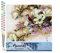 Figured'Art Malen Nach Zahlen Erwachsene Magnolien in Blüten - Paint by Numbers Basteln DIY Bastelset 40x50cm ohne Holzrahmen