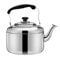 DOITOOL Gasherd Wasserkessel Pfeifende Teekessel 4L Edelstahl Laut Pfeife Teekessel Küche Kaffeekessel Metall Wasserkessel für Büro Heimrestaurant Camping Induktion