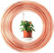 YGHSZ 65 Feet Electroculture Gardening Antenna Pure Copper Wire Gardening Coil Bare Wire 16 Gauge 99.9% Soft Copper Wire Stakes for Gardening Growing Plants Vegetables