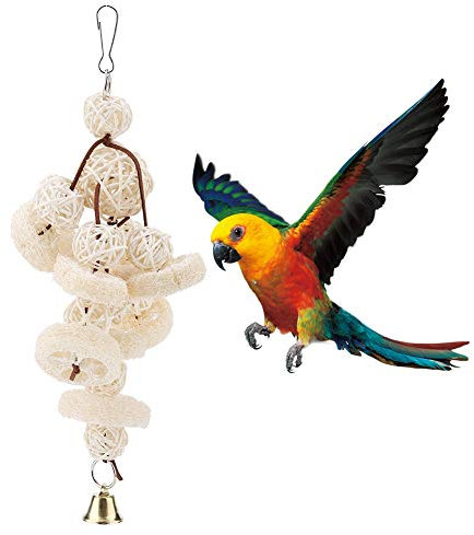 Papageien-Vogelspielzeug, natürliches Luffa-Cuttlebone-Kauspielzeug Haustier hängendes stehendes Schaukelspielzeug für kleine Sittiche, Nymphensittiche, Conures, Finken, Wellensittiche, Aras, Papageie