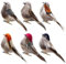 LWINGFLYER Small Artificial Birds Realistic 3.9-Inch Simulation Foam Feather Sparrow Bird Clip on Ornaments for Christmas Craft Garden Tree Home Decor Seasonal Display Decoration (6 Pcs)