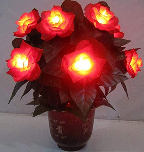 Stage Magic 10 beleuchtete Rosen blühen automatisch - Zaubertricks