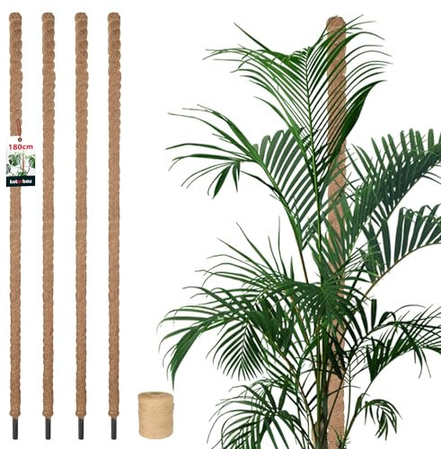 KOTARBAU® 4er Set Moosstab für Monstera Kokos Natural ⌀3,2 x 180cm Pflanzenstab Rankhilfe für Monstera Pflanzen Kokosstab Pflanzstab Rankstab Moss Pole Monstera Rankhilfe Blumenstab Moss Stab + Schnur