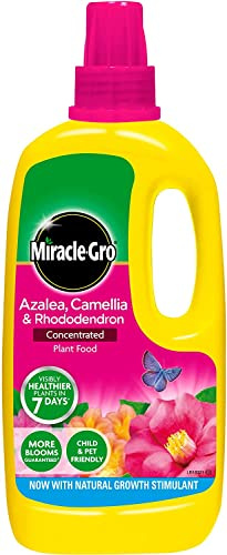 4 X Miracle-Gro Azalea, Camellia and Rhododendron Liquid Plant Food Bottle, 1 L