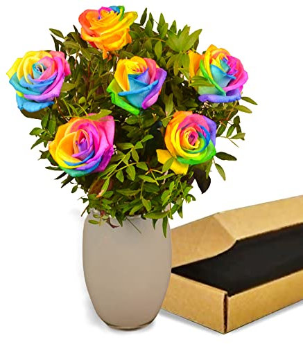 All Occasions Rainbow Roses Fresh Rose Bouquet - Vibrant Fresh Flowers Delivered Next Day - Ideal for Birthdays, Anniversaries, Get Well, and Thank You Gifts