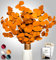 Angebot Black Week Birkental Eukalyptus - extra langlebige und 65-70 cm Lange Trockenblumen Deko - getrocknetes Eukalyptus - getrocknete Blumen , Vase Trockenblumenstrauß , Boho Deko (Orange)