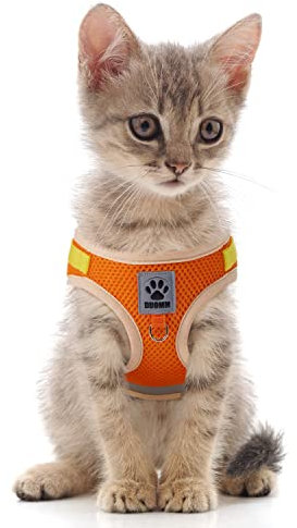 Katzengeschirr Welpengeschirr mit Leine ausbruchsicher Set - Step in Geschirr mit Klettverschluss Hundegeschirr Brustgeschirr sicherheitsgeschirr für Katzen kleine Hunde Orange XS