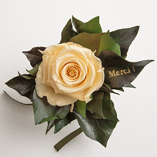 Ewige Rose konserviert Rosenstrauß mit Goldschrift Merci 3 Jahre haltbar Danksagung Gastgeschenk ROSEMARIE SCHULZ® (Beige)
