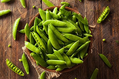 50 Samen Zuckererbse Sweet Horizon Zuckerschote Gemüse