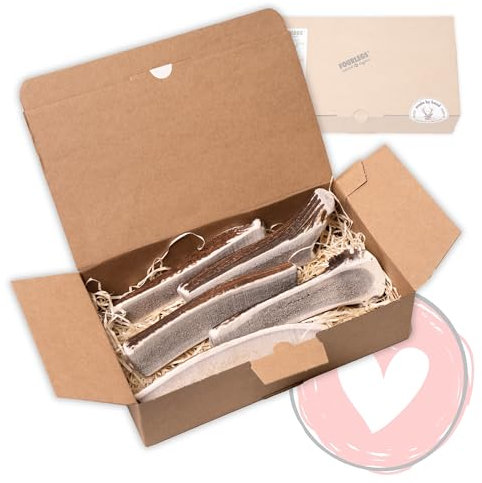 FOURLEGS® natürlicher Kausnack für Hunde aus 100% Hirschgeweih - Mineralstoffe, Kauspielzeug, Kaustange, Wildgeschmack, Geweih, Knochen, Hirsch, Kauartikel - Größe L halbiert Sparpaket (5 Stück)