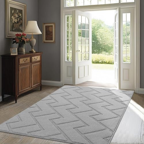 Biscpro Fußmatte Innen Außen Waschbar eingangsteppich innen Schmutzfangmatte rutschfest,Türmatte Innen Teppich für Eingang, Patio, Flur, Garten, Innen und Außen (Light Grey, 90 x 150 cm)