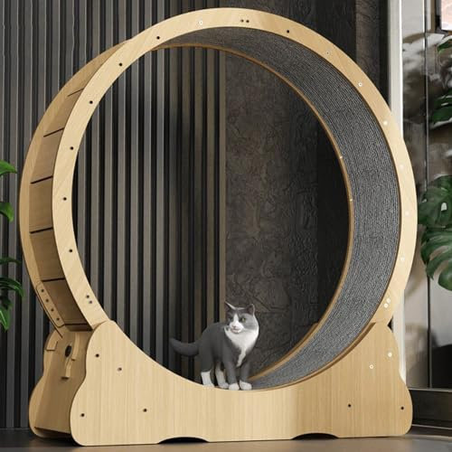 Katzenlaufrad Aufgebautes Laufrad für Katzen - Katzenrad aus Massivholz komplett montiert für innen mit Extra Sicherheit und Pfotenschutz,XL