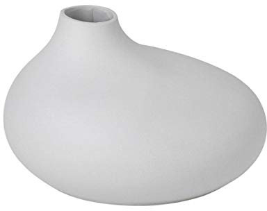 Blomus Vase-65971 Vase, Micro Chip, One Size