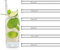 HALM Glasstrohhalme Set Prost Edition International in 6 verschiedenen Sprachen Cheers Santé Salud Cin-Cin Spülmaschinenfest Wiederverwendbar
