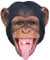 Star Cutouts Ltd Schimpanse Maske für eine einzelne Gesichtsbedeckung l Dschungel-Party