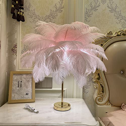 BestAlice Lampe à Plumes, Lampe à Plumes D'autruche à Interrupteur Tactile, Lumière D'ambiance Décorative à LED avec Plumes, Rechargeable par USB 3 Couleurs, Lampe de Décoration(Rose)