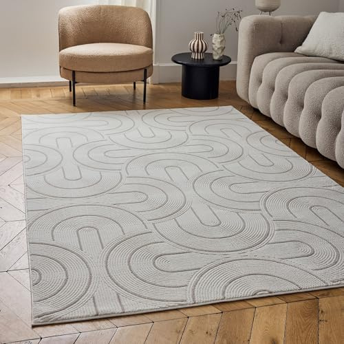 THE RUGS Carmel Modern Area Rug - Stain-Resistant, Non-Shedding, Durable Rugs for Living Room and Bedroom [ Wave Beige, 120x170 cm ]