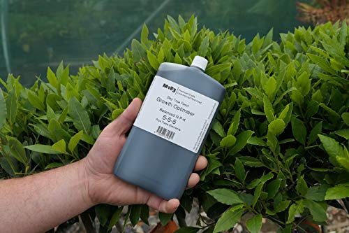 Todds Premium M183 Bay Tree Feed Fertiliser 250ml