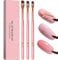3 PCS Professional Acrylic Nail Brush Set for Acrylic Powder, Gel & Nail Art - Includes French Manicure Brush, Detail Brushes | Perfect Christmas Gift for Women & Nail Technicians