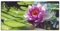 ARTLAND Wanddeko Leinwand Bilder Wandbild 150x75 cm Zen Garten Pflanzen Blumen Blüte Seerose Teich See Natur U2AE