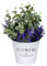 levandeo Eimer H21cm Metall Garten Pflanztopf Blumenkübel Vintage Shabby Chic Gartendeko Pflanzschale Blumentopf
