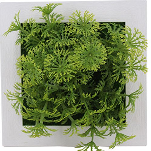 DELIBEST 3D Simulation Sukkulenten Blume Rahmen Wand Simulation Pflanze Foto Rahmen Simulation Blume Wand Dekoration Wand Simulation Sukkulenten Blume (3A)