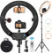 TARION LED Ringlicht mit Stativ, 19 Zoll Ringleuchte Licht Set mit Handyhalterung Fernbedienung Dimmbare Lampe für Smartphone Kamera Selfie Fotografie Vlog TikTok