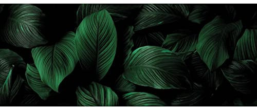 BRICOFLOR Bild mit grünen Blättern auf Leinwand | Dschungel Wandbild mit Palmenblättern in Dunkelgrün | Exostisches Leinwandbild für Schlafzimmer und Wohnzimmer
