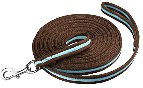 Start Longierleine für Reitsport – Pferdelonge 8 m aus Nylon – Softlonge mit Handschlaufe & Karabiner – rutschfeste Longe für Pferd – Robuste Longierleine für Training (Braun/Türkis)