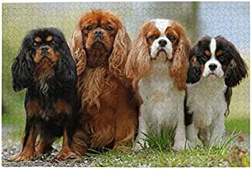 KESIMO Papery Puzzle 1000 Teile, Cavalier King Charles Spaniel Brain Challenge, Nachhaltig Dekorativ, Für Teenager & Kinder ab 3 Jahren, 38 cm x 26 cm