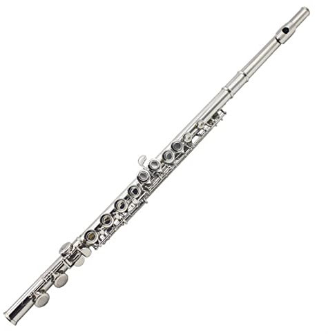 DZDZDZ querflöte Instrument 16-Loch C Closed-Cell-vernickelte Rückhand-Flöte Linkshänder-Flöte Linkshänder-Flöte-Testbares Instrument Einsteigerflöte