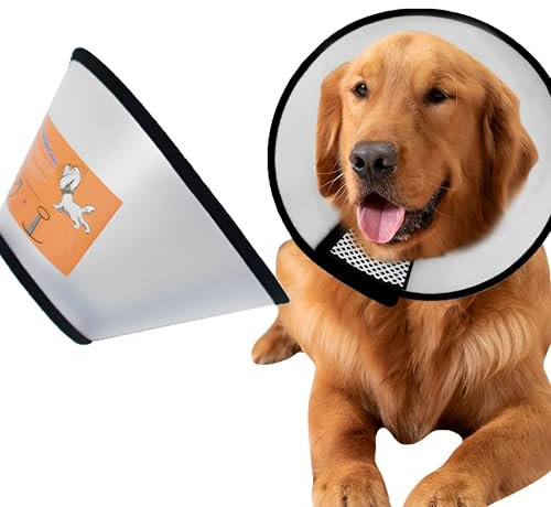JIAMIAN Cono Recupero Animali Domestici, Regolabile collare elisabettiano gatti, per Cane Gatto Ferita Recupero Guarigione Collare Anti Morso o Leccata (Neck :35-40cm)