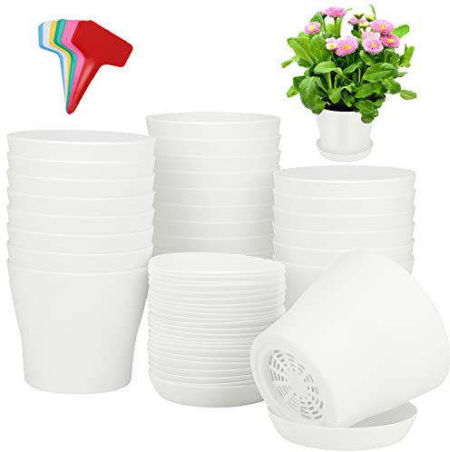 ADXCO 24 Pack 4 Inch Plastic Plant Pot with Saucers White Flower Pots Planters Nursery Pots and 24 Labels for Outdoor Indoor Plants Gardening Containers, White