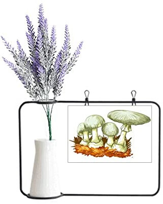 no/no Delicious Fresh Mushroom Illustration Artificial Lavender Flower Vase Bottle Card