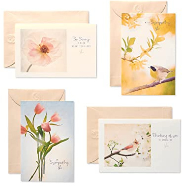 American Greetings Lot de 12 Cartes pour condoléances, avec enveloppes, (français non garanti), motifs floraux