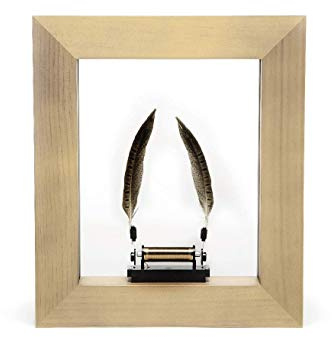Wonder Machines Slow Dance Bilderrahmen, Zeitlupeneffekt durch optische Täuschung, Entschleunigung durch Technik, Wissenschaft und Kunst, helle Pinie, LED, Stoboskop 18021